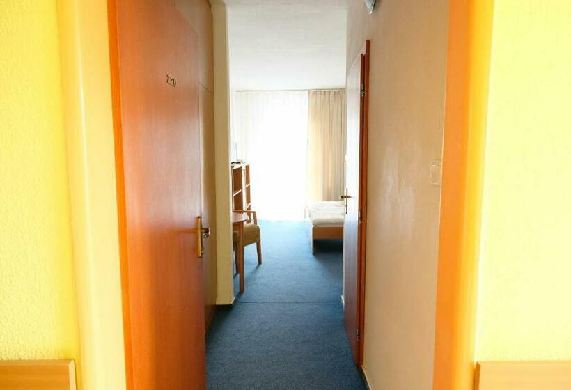 スタンダードルーム, Art