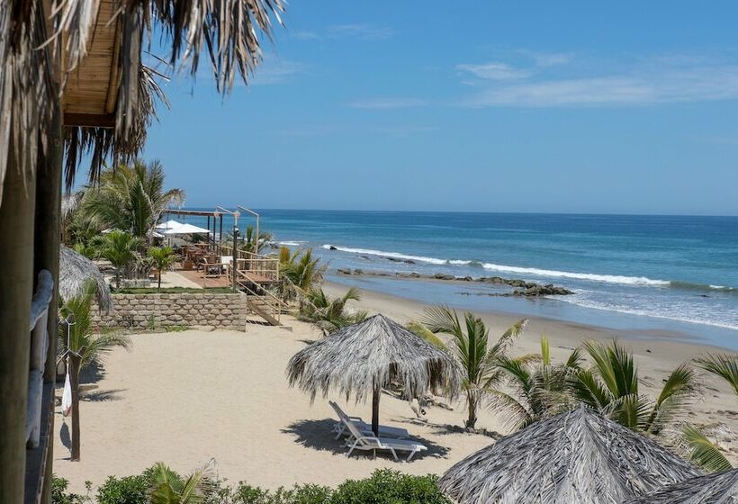 سوییت جونیور با چشمانداز دریا, Baja Canoas