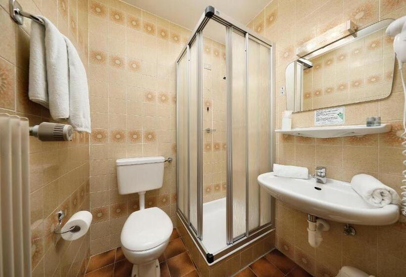 Номер Стандарт Индивидуальный, Gasthof Mesnerwirt