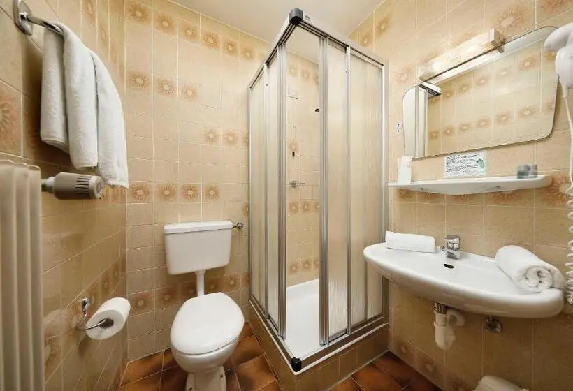 Standard Yhden Hengen Huone, Gasthof Mesnerwirt