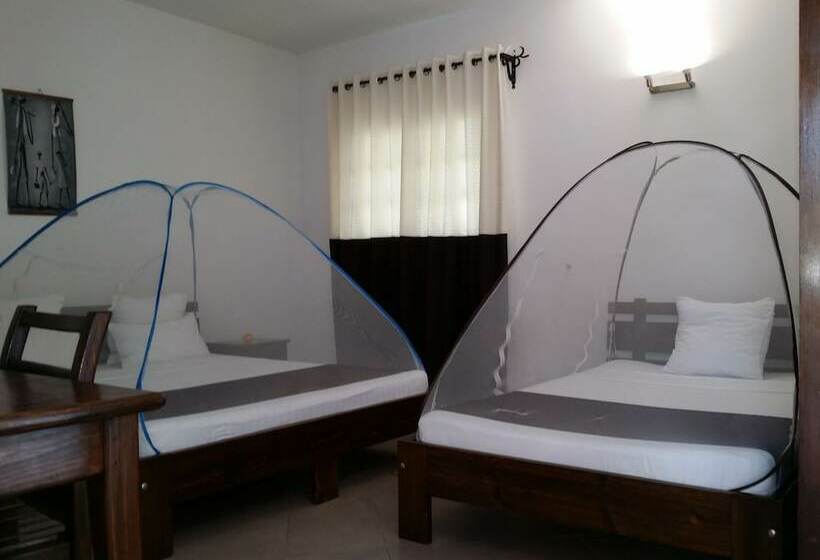 اتاق استاندارد سه نفره, H1 Isalo