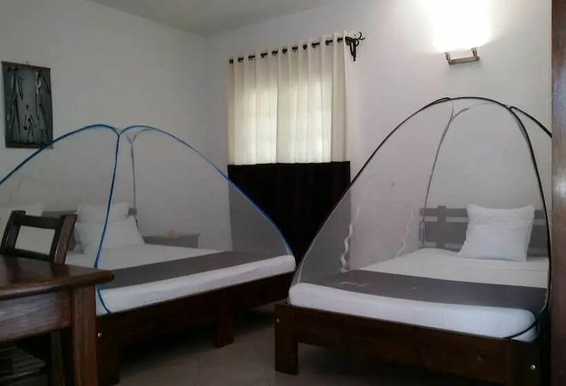اتاق استاندارد سه نفره, H1 Isalo