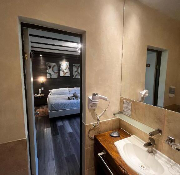 غرفة سوبيريور سرير كينج, La Petite France