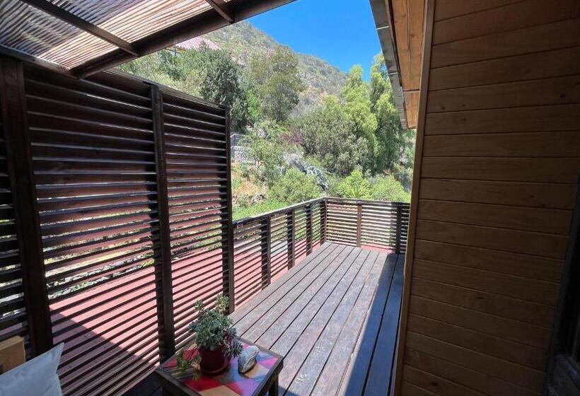 جناح مزود بجاكوزى, La Petite France