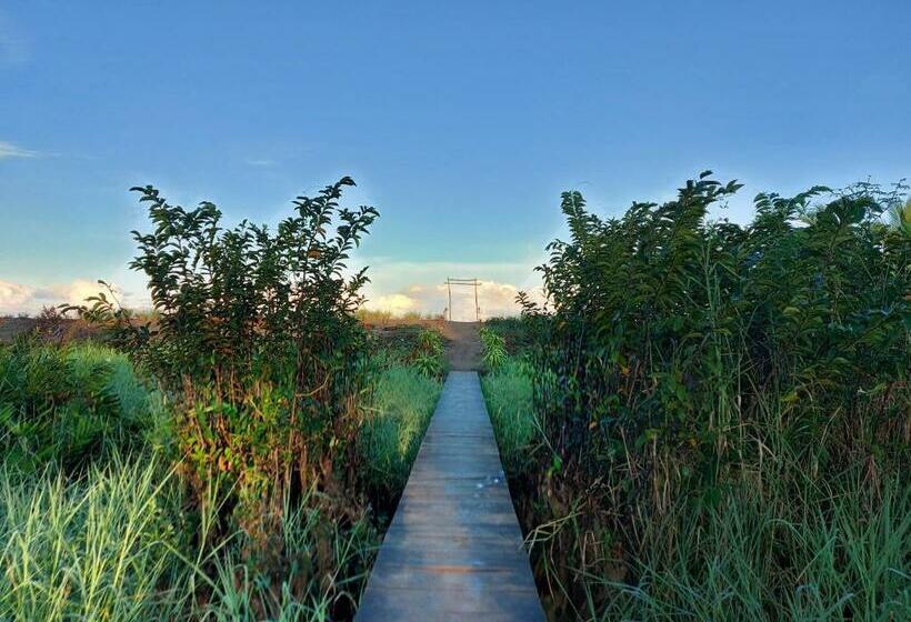 스탠다드 룸, Gitana Corcovado, Y Tour Operador