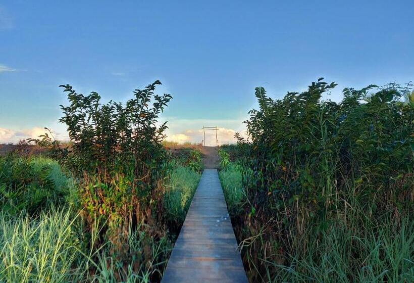 패밀리 룸, Gitana Corcovado, Y Tour Operador