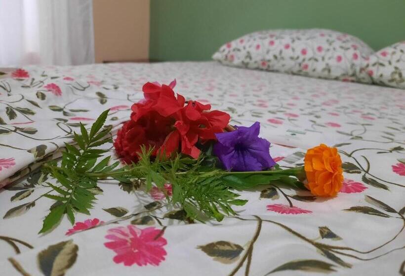 스탠다드 룸, Gitana Corcovado, Y Tour Operador