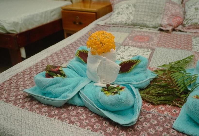 패밀리 룸, Gitana Corcovado, Y Tour Operador