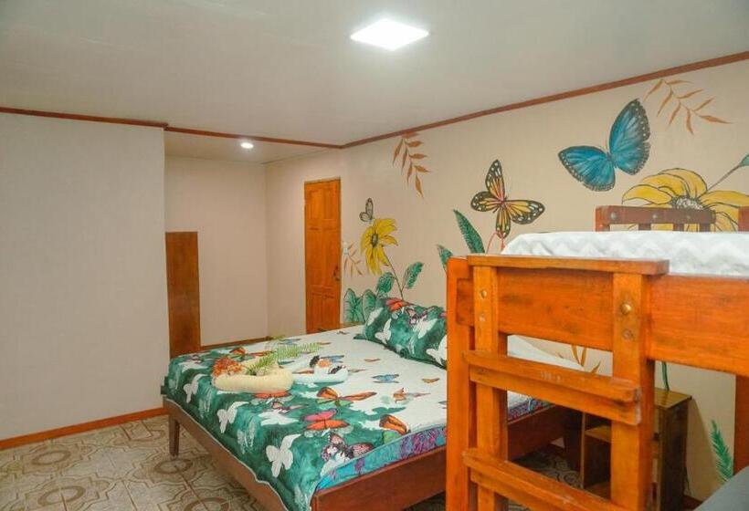 패밀리 룸, Gitana Corcovado, Y Tour Operador