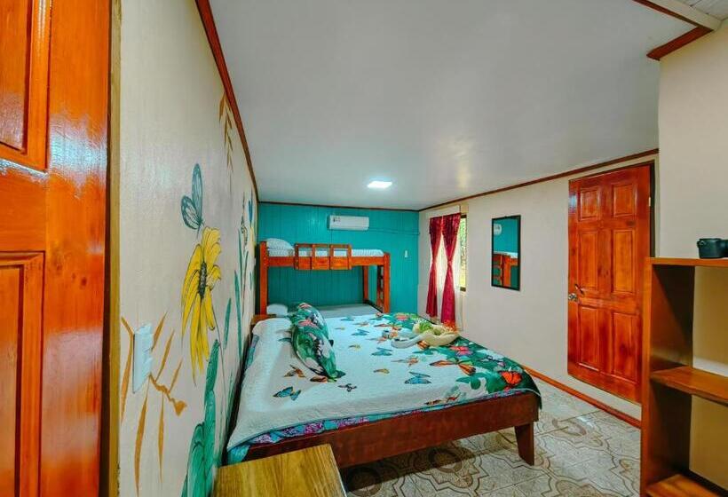 패밀리 룸, Gitana Corcovado, Y Tour Operador