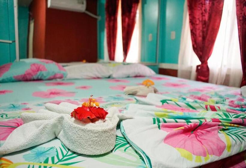 패밀리 룸, Gitana Corcovado, Y Tour Operador