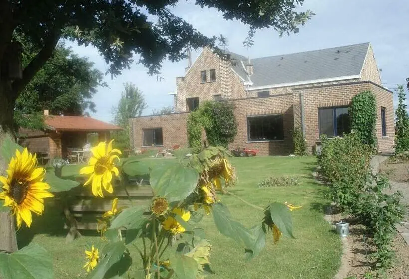 エコノミールーム, B&b Mussenzele