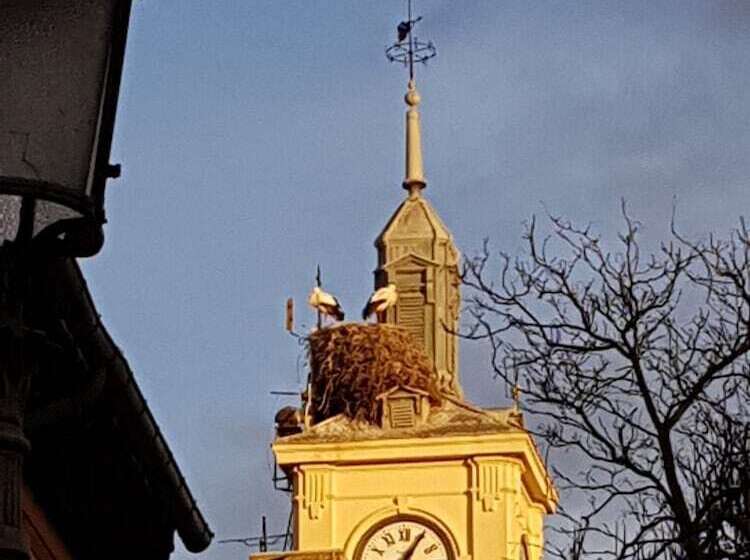 스탠다드 룸, Casa De Huespedes Con Encanto El Sueno Del Quijote