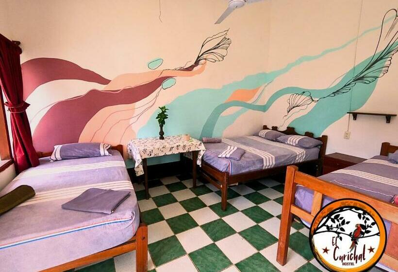 اتاق خانوادگی, El Curichal Hostel