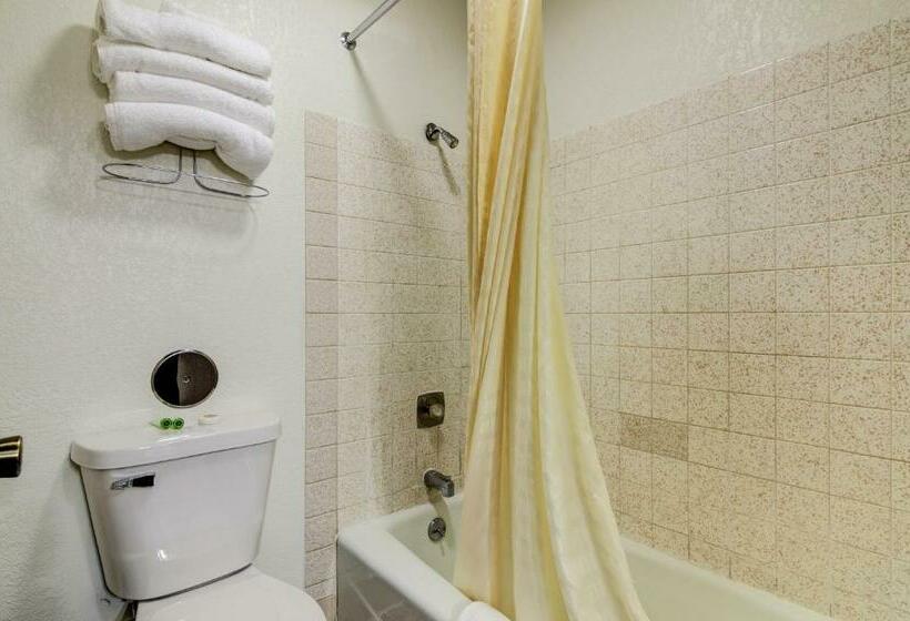 スタンダードルーム, Bloomer Inn & Suites