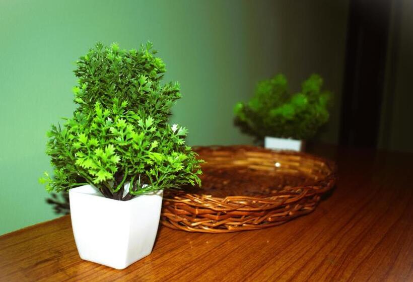 חדר סטנדרט, Tulip