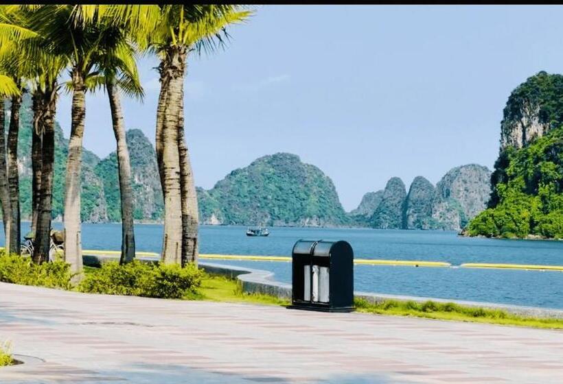 اتاق استاندارد, Kim An Homestay, Bar & Cafe