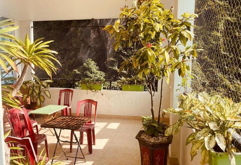 تختخواب در اتاق مشترک, Hoang Phuc Home   Hotel Cat Ba