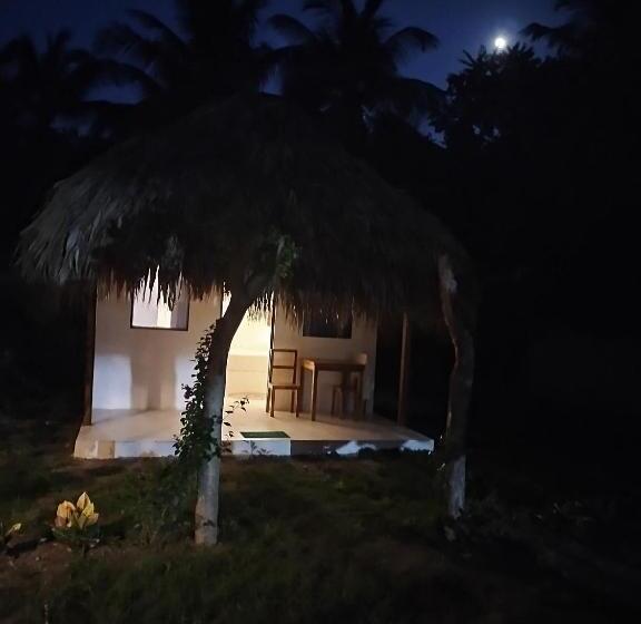 デラックスバンガロー, Coral Sand Islas Del Rosario