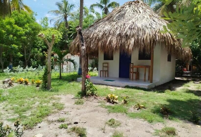 デラックスバンガロー, Coral Sand Islas Del Rosario