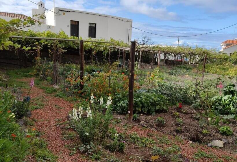高级大房间, Un Jardin Al Mar