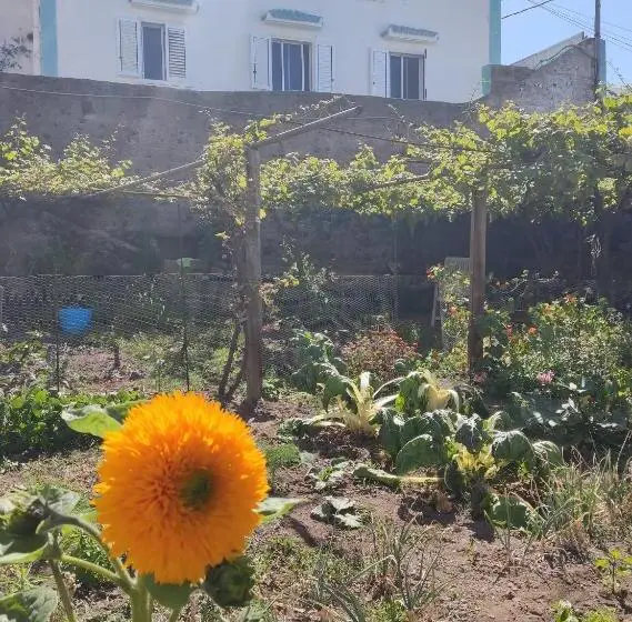スーペリアールーム, Un Jardin Al Mar