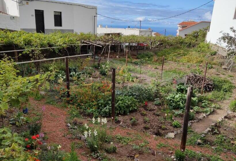 高级大房间, Un Jardin Al Mar