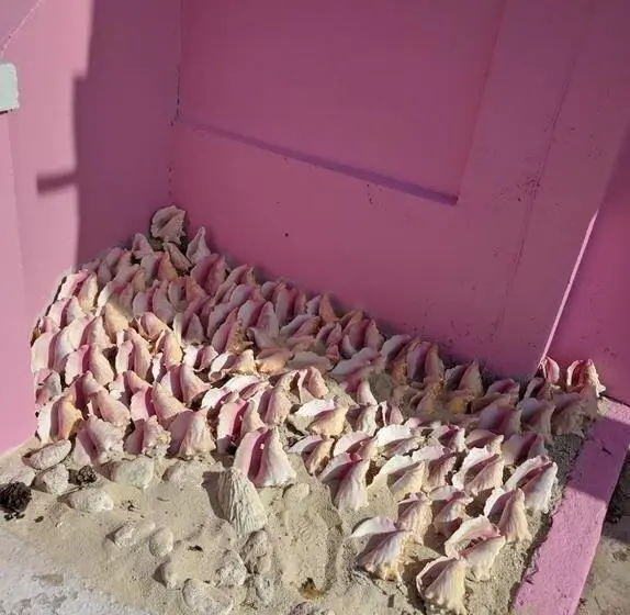 اتاق خانوادگی با چشم‌انداز دریا, Da Pink And White Palace