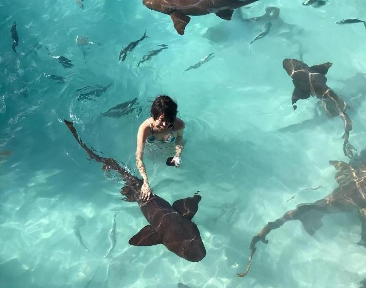 اتاق خانوادگی با چشم‌انداز باغ, Da Pink And White Palace