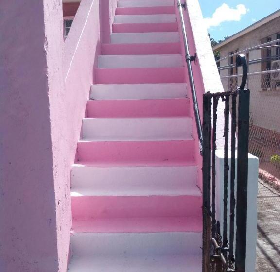 اتاق خانوادگی با چشم‌انداز دریا, Da Pink And White Palace