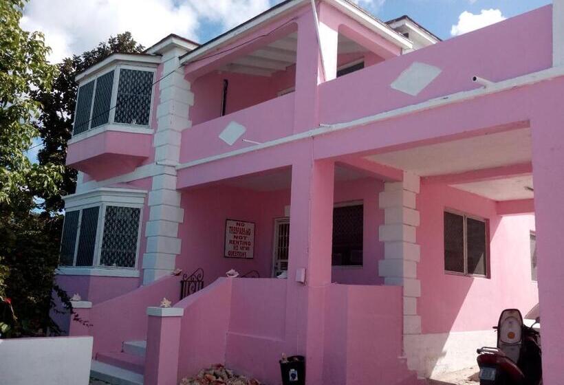 اتاق خانوادگی با چشم‌انداز دریا, Da Pink And White Palace