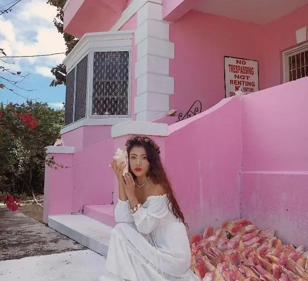 اتاق خانوادگی با چشم‌انداز دریا, Da Pink And White Palace