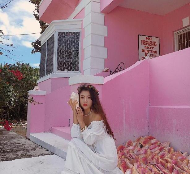 اتاق لوکس, Da Pink And White Palace