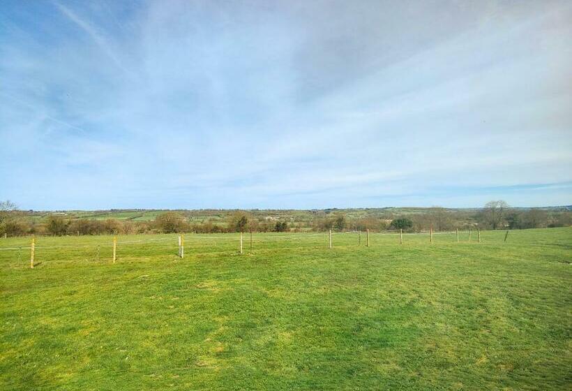 غرفة قياسية, Maison Toussaint