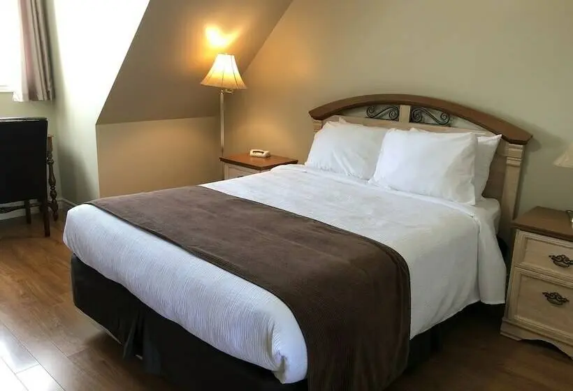 Deluxe-huone, Adventure The Bruce Inn Recently Renovated With Outdoor Hot Tub