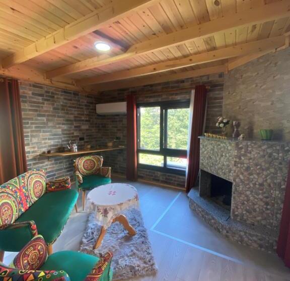 ファミリールーム, Mira Suit Apart