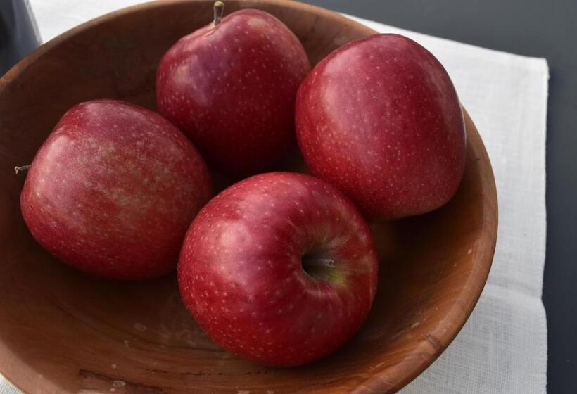 آپارتمان سوپریور 1 خوابه, Appartment Gut Wendlandt