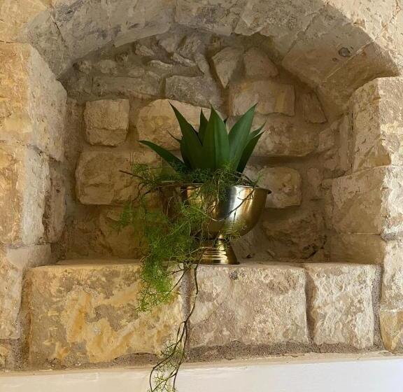 سوییت خانوادگی, Il Carosello Dei Baroni