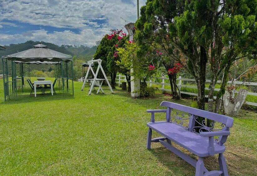 חדר סטנדרט, Valle Los Amores