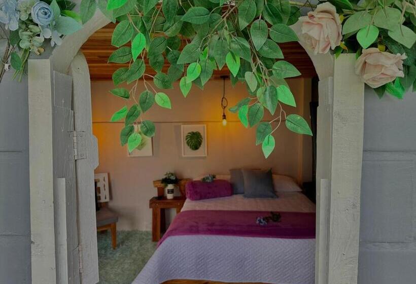 חדר סטנדרט, Valle Los Amores