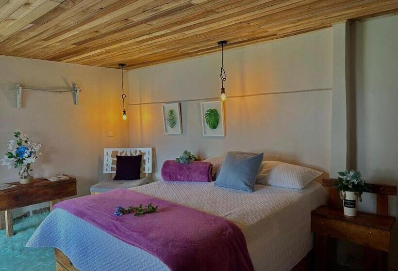 חדר סטנדרט, Valle Los Amores