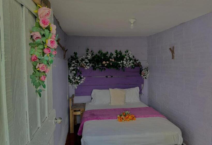 חדר אקונומי, Valle Los Amores