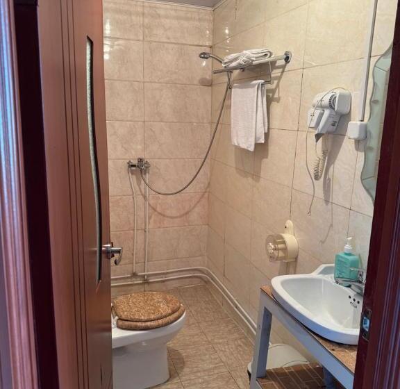 اتاق استاندارد, Khuvsgul Edelweiss