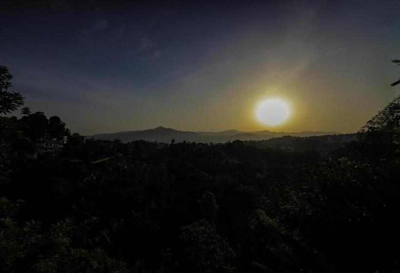 带山景的复式房间, Cielo Residence