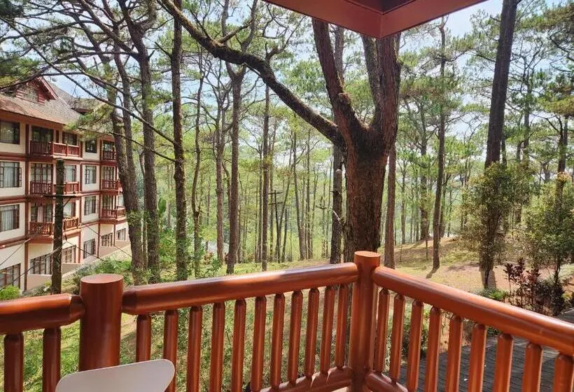 سوئیت جونیور با چشم‌انداز کوهستان, Camp John Hay Lodge 200