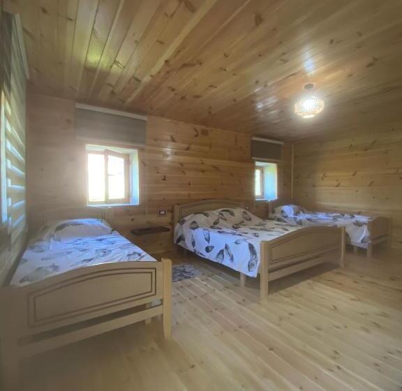 Четырехместный Номер Стандарт с Балконом, Guest House Castle