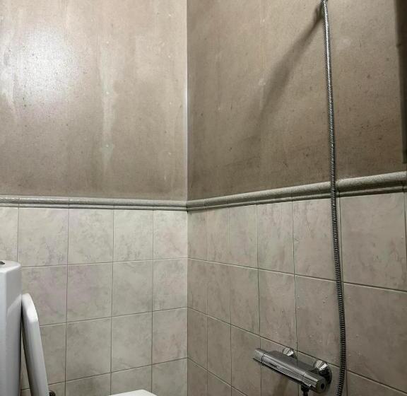 חדר אקונומי, Swed Cab Embassy Hostel