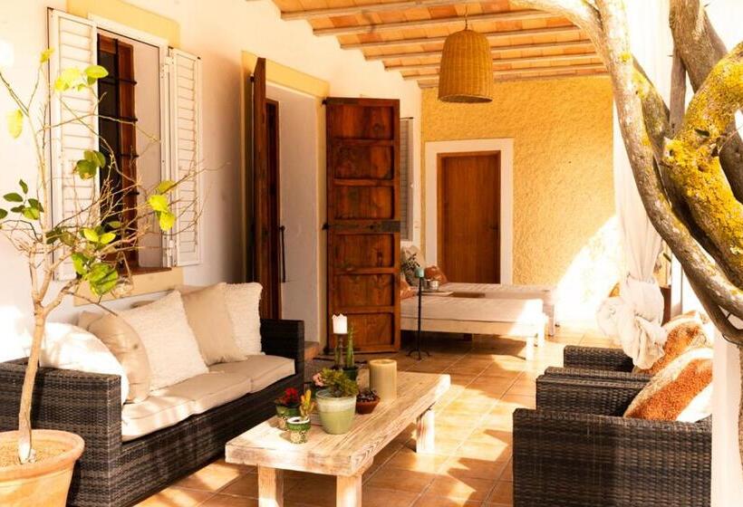 Номер Стандарт, Cas Besuro