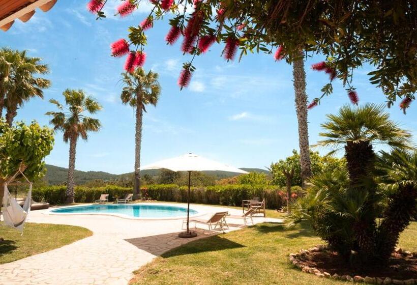 Номер Стандарт, Cas Besuro