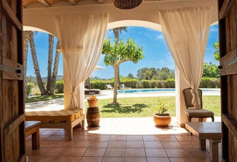 Номер Стандарт, Cas Besuro